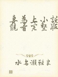 妻为上小说免费观看完整版笔趣阁