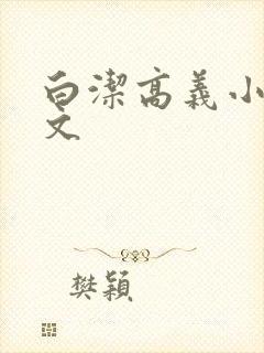 白洁高义小说全文