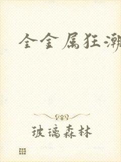 全金属狂潮小说