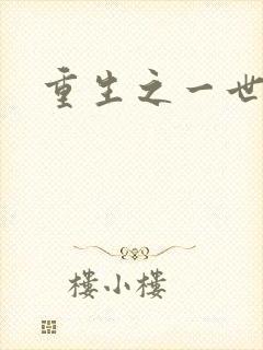 重生之一世枭雄