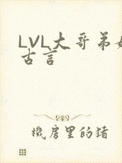 LVL大哥弟媳古言