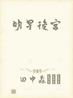 明星后宫