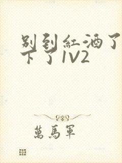 别到红酒了装不下了1V2