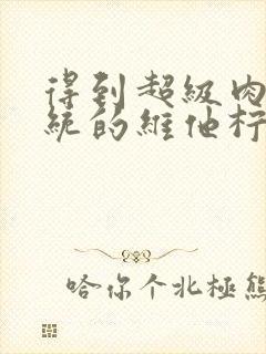 得到超级肉禽系统的维他柠檬茶