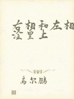 右相和左相一起淦皇上