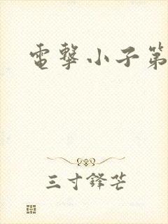 电击小子第二部