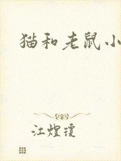 猫和老鼠小说