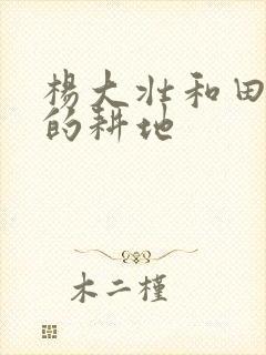 杨大壮和田桂花的耕地