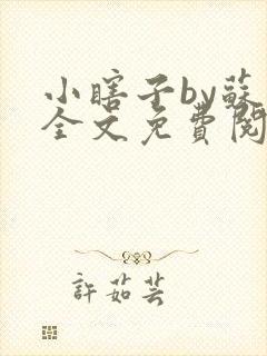 小瞎子by苏软全文免费阅读封面