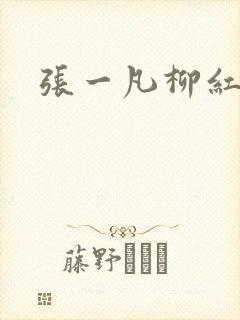 张一凡柳红