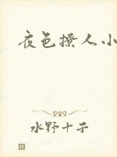 夜色撩人小说