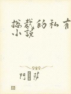 总裁的私有宝贝小说