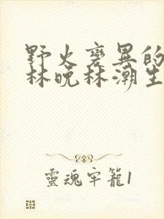 野火变异的父爱林晚林潮生