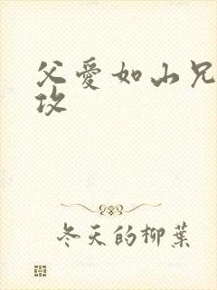 父爱如山兄有弟攻