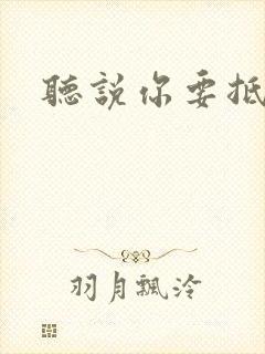 听说你要抵抗我