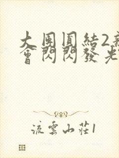 大团圆结2亲情会闪闪发光亲情会2