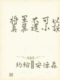 将军不可以魏云真慕迟小说笔趣阁