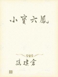 小宝六凤