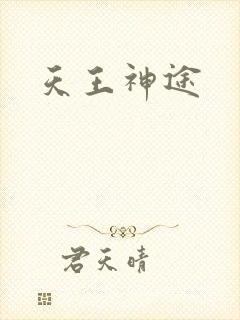 天王神途