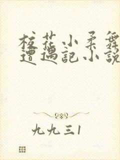 校花小柔舞蹈室遭遇记小说