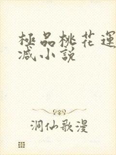 极品桃花运未删减小说