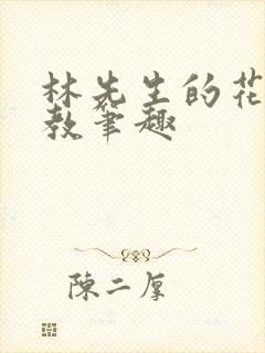 林先生的花式管教笔趣