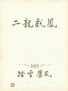 二龙戏凤