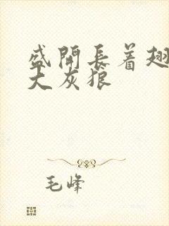 盛开长着翅膀的大灰狼