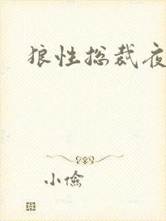 狼性总裁夜欢宠