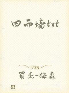 四面墙txt