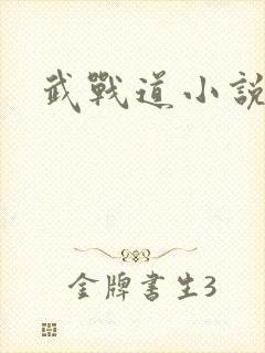 武战道小说