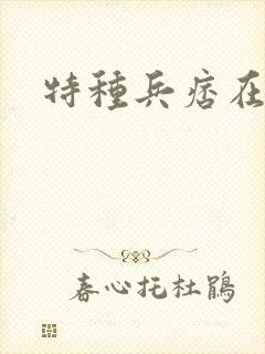 特种兵痞在都市