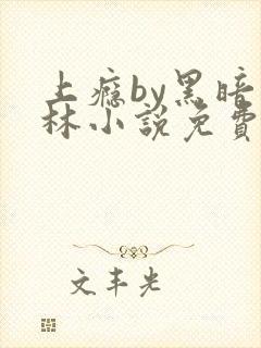 上瘾by黑暗森林小说免费