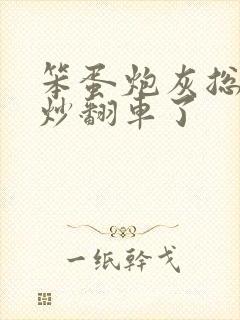 笨蛋炮灰总被爆炒翻车了