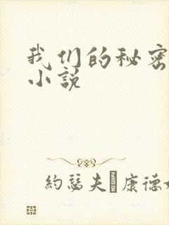 我们的秘密泰剧小说