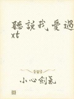 听说我爱过你txt