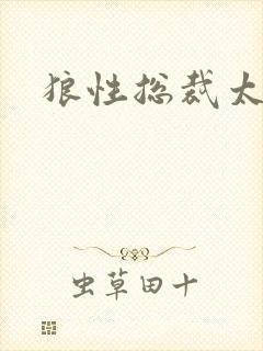 狼性总裁太凶猛