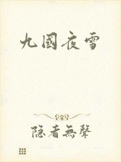 九国夜雪