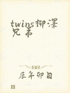 twins柳泽兄弟