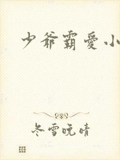 少爷霸爱小丫头