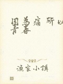 因为痛 所以叫青春