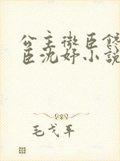 公主微臣馋了微臣沈妤小说