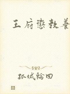 王府惩教养日常