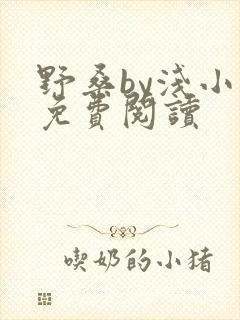 野桑by浅小说免费阅读