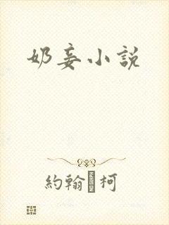 奶妾小说