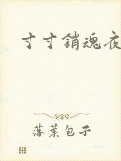 寸寸销魂夜春光