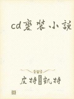 cd变装小说