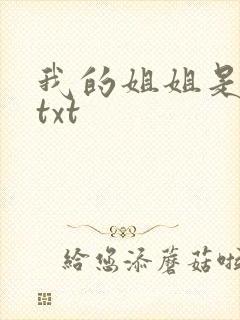 我的姐姐是美女txt