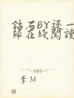 钻石BY逐一而归在线阅读