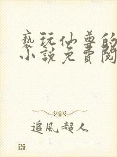 亵玩仙尊的道侣小说免费阅读